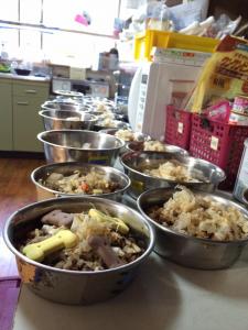 犬猫たちの夕飯