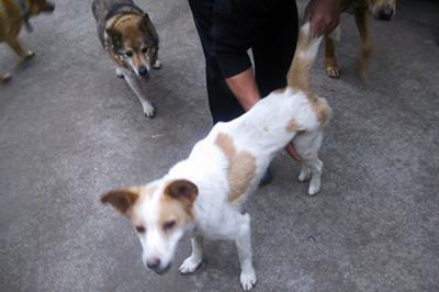 ボランティア風景2